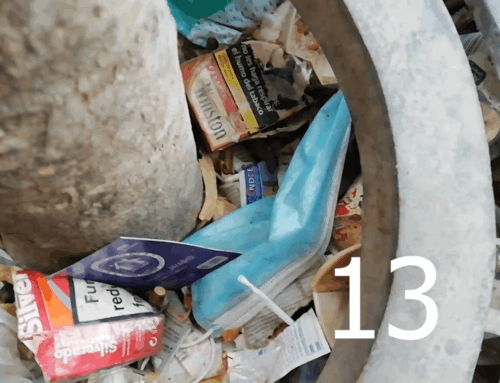 15 minutes 13 masks
