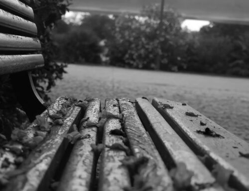 Dime, ¿Qué tal tu día? – The talking Bench